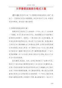 大学暑假实践报告格式3篇