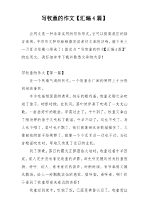 写牧童的作文【汇编4篇】