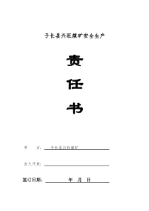 煤矿安全生产责任书XXXX
