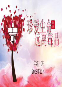 禁毒宣传教育珍爱生命远离毒品