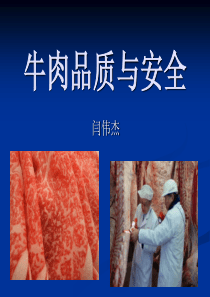 牛肉品质与安全