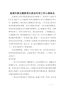 抽调市委主题教育办参加专项工作心得体会