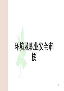 环境及职业安全审核ppt52