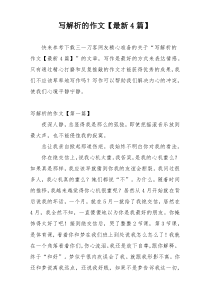 写解析的作文【最新4篇】