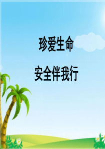 珍爱生命_安全伴我行_安全教育班会课件安全教育(共56张PPT)（PPT36页)