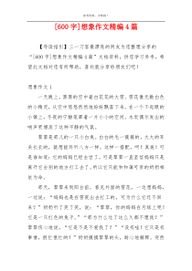 [600字]想象作文精编4篇