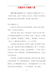 乐趣的作文精编3篇