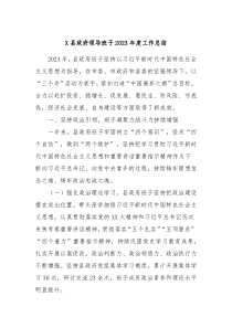 X县政府领导班子2023年度工作总结