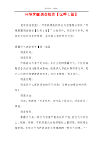 环境雾霾调查报告【优秀4篇】