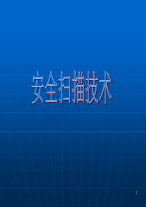 第10章安全扫描技术