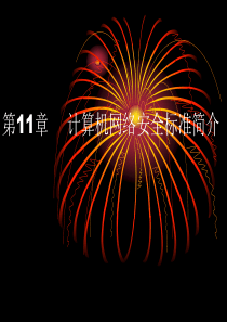第11章-计算机网络安全标准简介