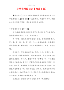 小学生精编日记【推荐4篇】