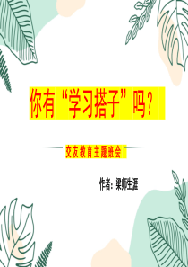 交友教育主题班会你有学习搭子吗ppt参考