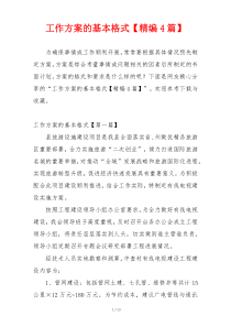 工作方案的基本格式【精编4篇】