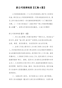 新公司规章制度【汇集4篇】