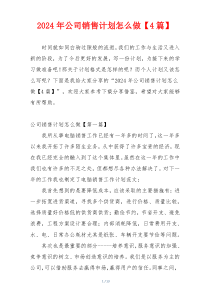 2024年公司销售计划怎么做【4篇】