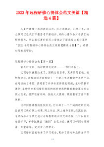 2023年远程研修心得体会范文美篇【精选4篇】
