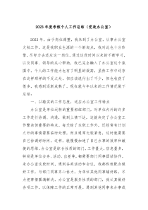 2023年度考核个人工作总结党政办公室