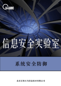 系统安全防御