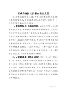 某镇在森林防火部署会上的表态发言