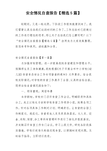 安全情况自查报告【精选5篇】