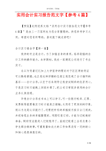实用会计实习报告范文字【参考4篇】