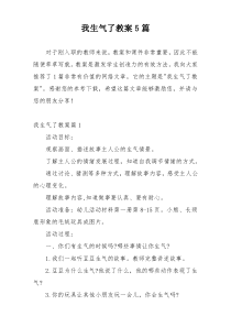 我生气了教案5篇