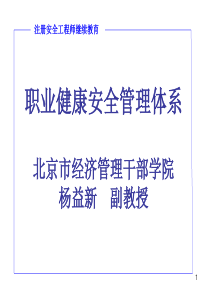 职业健康安全管理体系 北京市经济