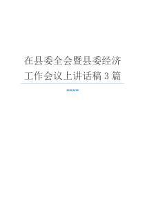 在县委全会暨县委经济工作会议上讲话稿3篇
