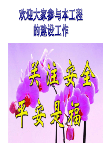 脚手架搭拆安全技术交底MicrosoftPowerPoint演示文稿