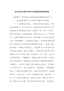 区农业农村局党支部书记抓基层党建述职报告
