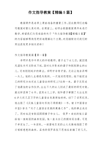 作文指导教案【精编5篇】