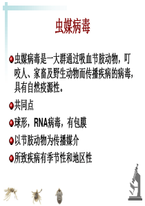 虫媒病毒-食品伙伴网（原食品伴侣网）关注食品安全，探讨食