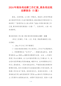 2024年商务局巡察工作汇报_商务局巡视巡察报告（5篇）