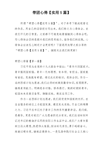 带团心得【实用5篇】