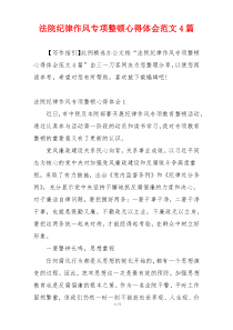 法院纪律作风专项整顿心得体会范文4篇