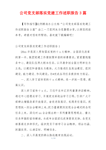 公司党支部落实党建工作述职报告3篇