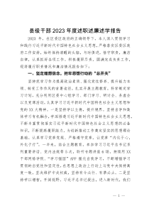县级干部2023年度述职述廉述学报告