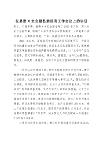 在县委X全会暨县委经济工作会议上的讲话