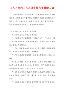 工作方案和工作具体实施方案最新5篇