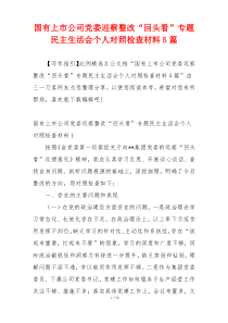 国有上市公司党委巡察整改“回头看”专题民主生活会个人对照检查材料5篇