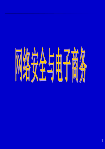 计算机系统安全8780976918