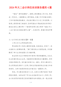 2024年大二会计岗位实训报告通用4篇