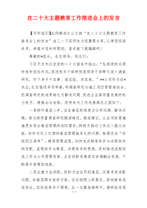 在二十大主题教育工作推进会上的发言