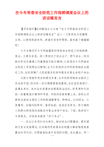 在今冬明春安全防范工作视频调度会议上的讲话稿发言