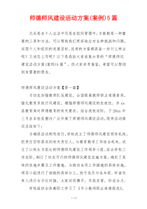 师德师风建设活动方案(案例)5篇