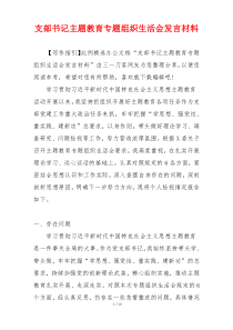支部书记主题教育专题组织生活会发言材料