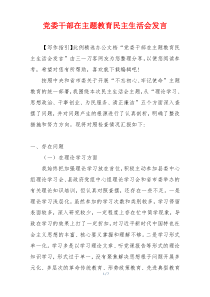 党委干部在主题教育民主生活会发言