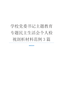学校党委书记主题教育专题民主生活会个人检视剖析材料范例3篇