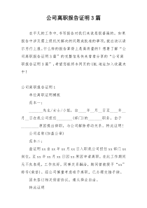 公司离职报告证明3篇
